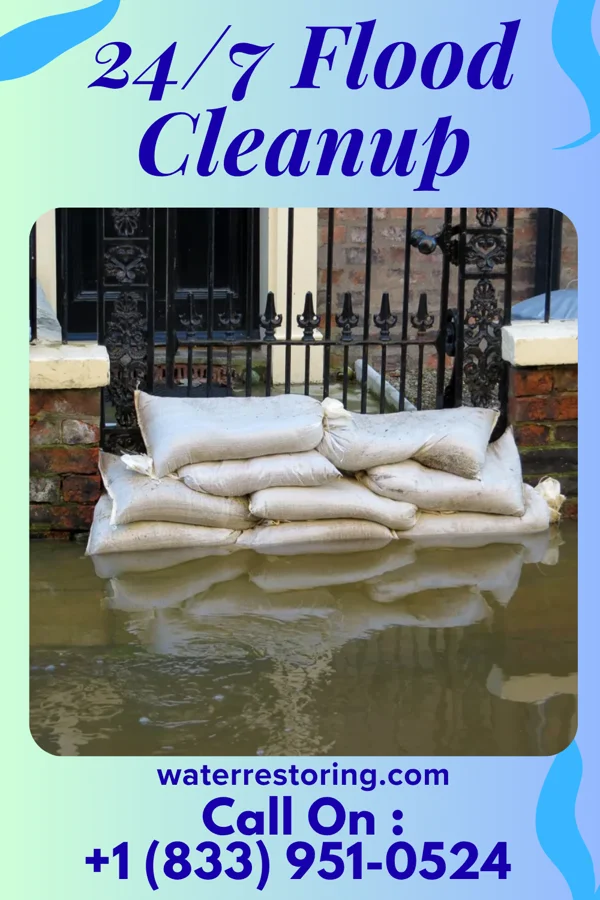 24/7 Flood Cleanup in Rapids City, IL