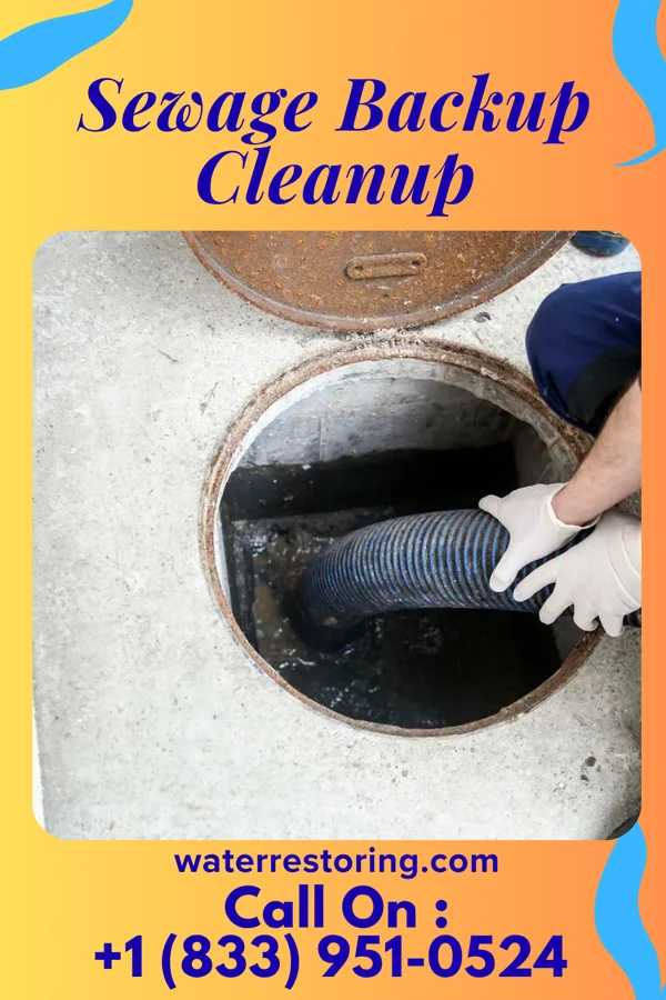 Sewage Backup Cleanup in Rapids City, IL