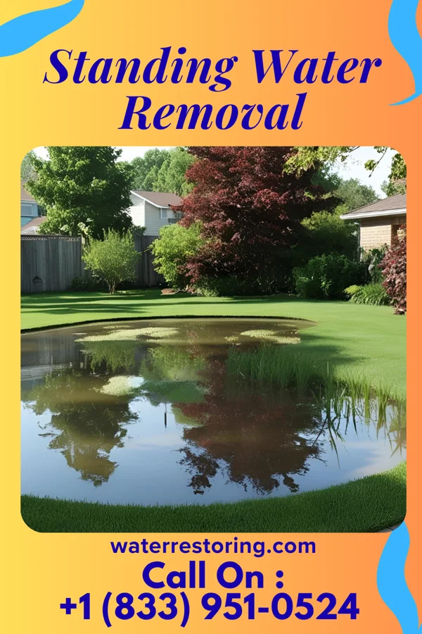Standing Water Removal in Rapids City, IL